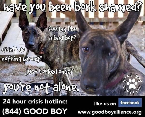 Have You Ever Been Bork Shamed
