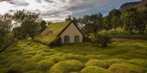 Amazing church in Iceland. It’s made from wood and peat, the humps are very old graves.
