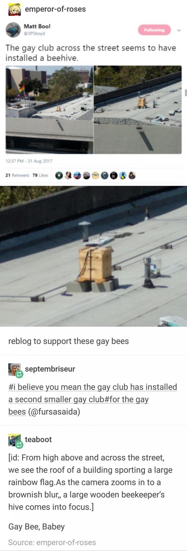 A second, smaller gay club for the bees.