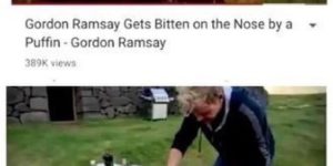 …It’s best not to bite Mr. Ramsay