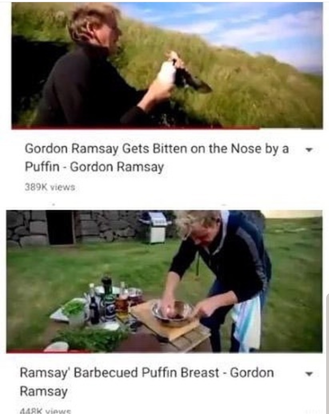 ...It's best not to bite Mr. Ramsay