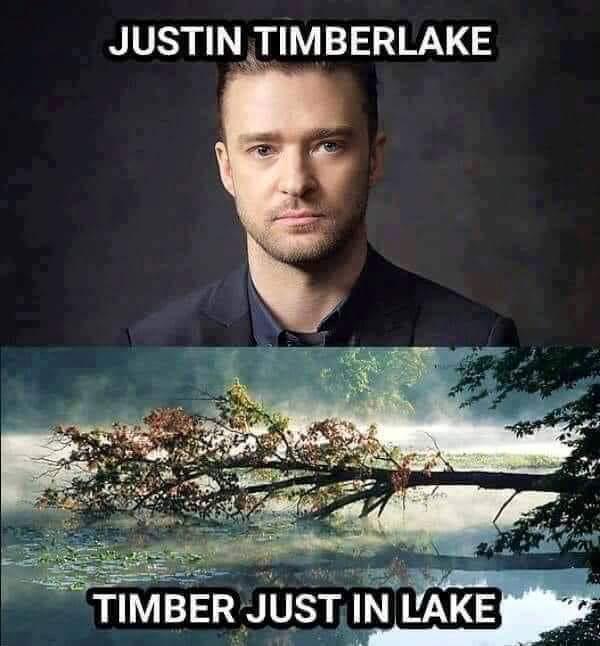 If a Timberlake falls in the forest and nobody is around to hear them, do they make a sound?