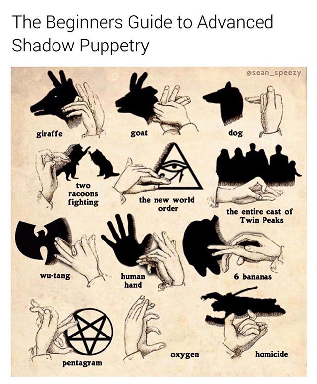 You've probably never heard of shadow puppetry...