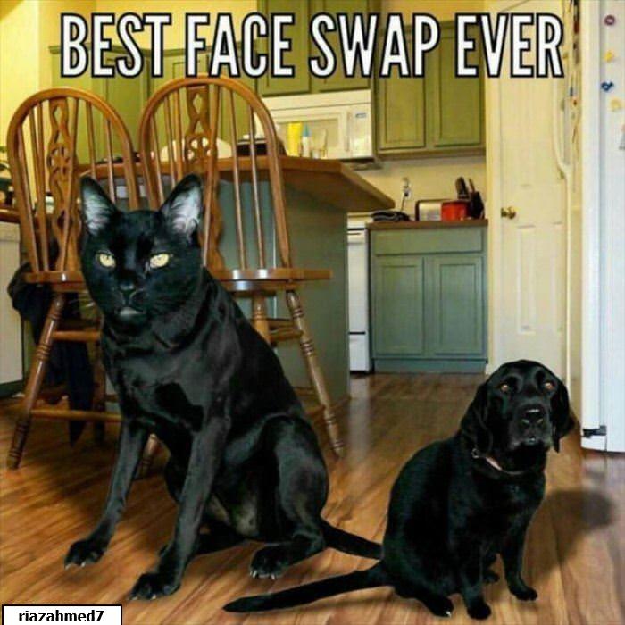 Best Face Swap Ever.