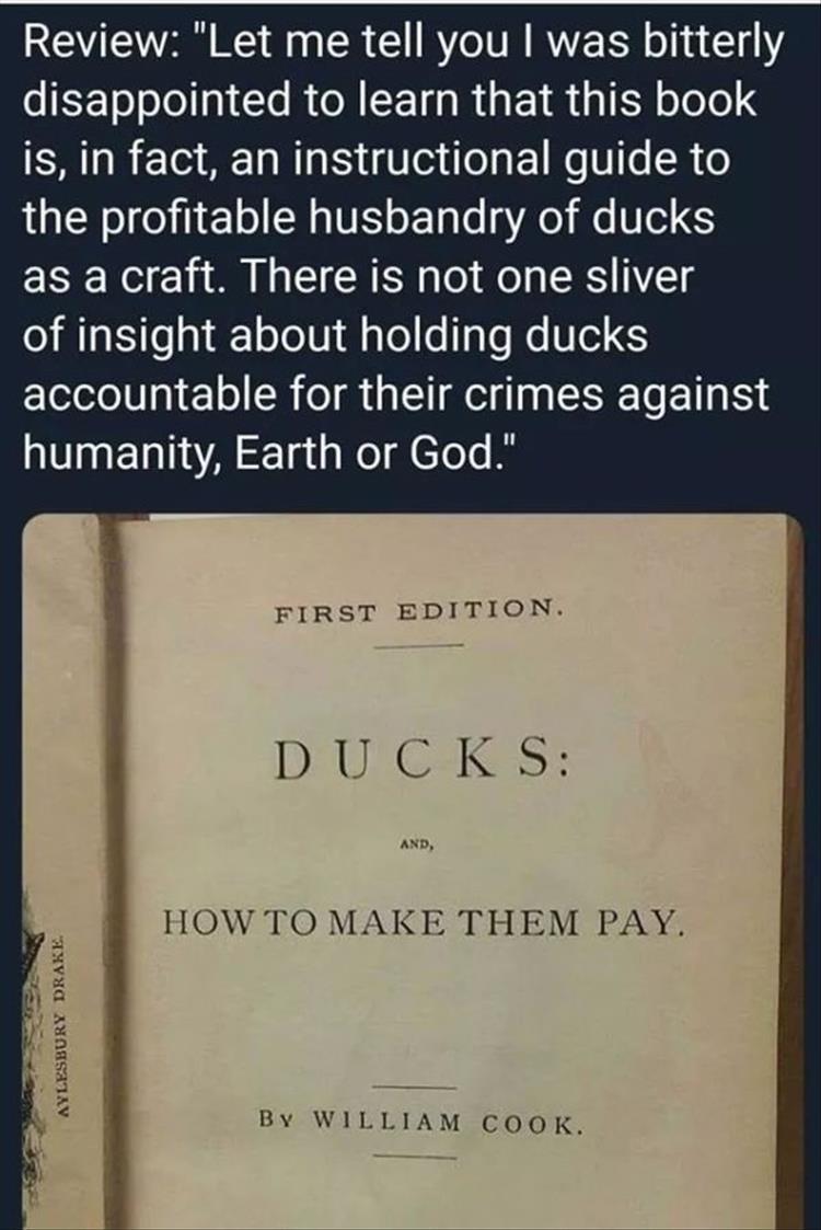 Never actually pay for a duck.