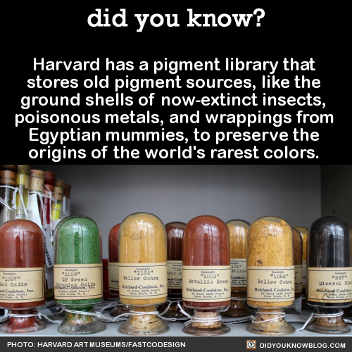 The old Harvard pigment library