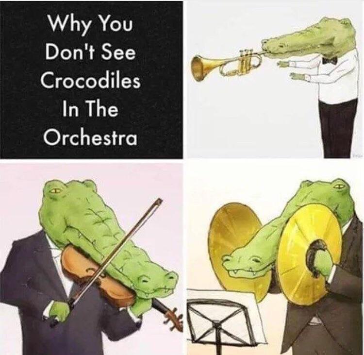 Crocodiles struggle in band class. 