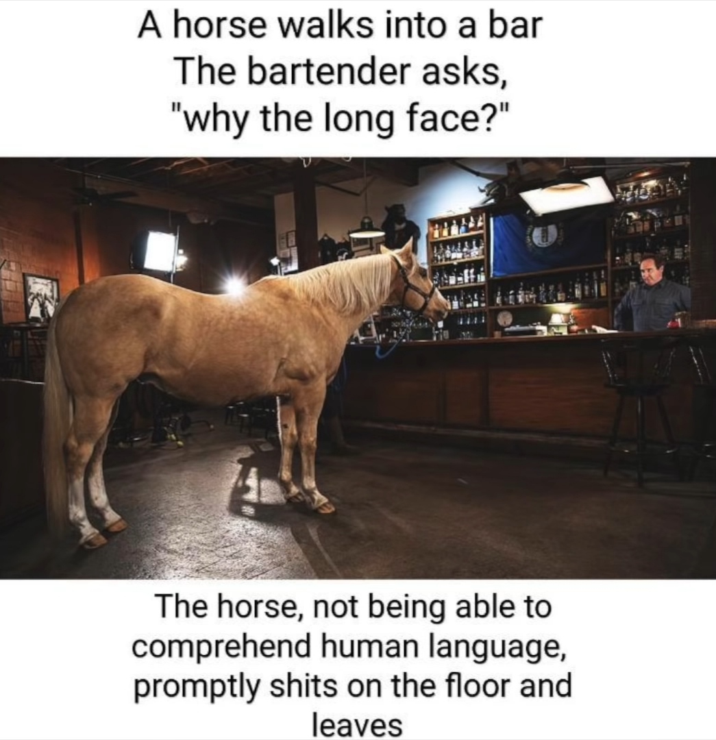 Horses are not great at jokes. Of course.
