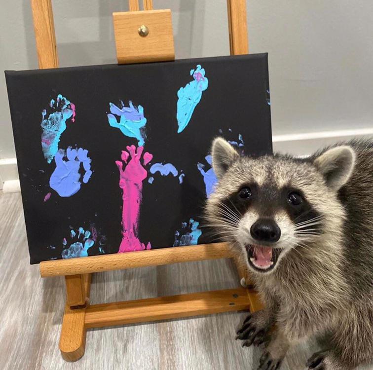 Your art is trash, panda.