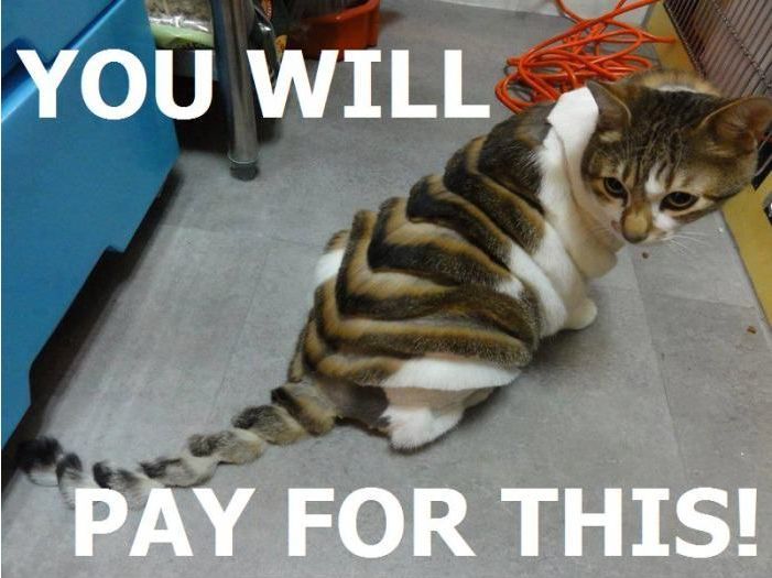 You'll pay...