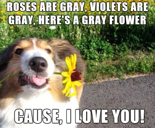 A poem by Dog. 