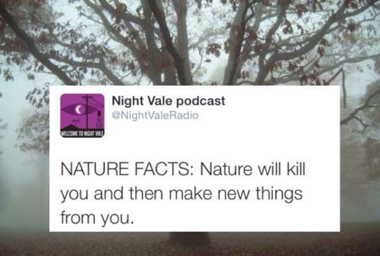 Neat nature facts.