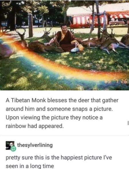 Tibetan Monks are basically Disney Princesses.  