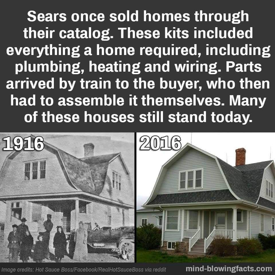 Sears could make a comeback.