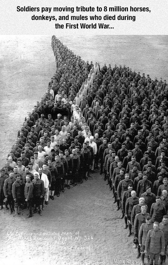 Soldiers Paying Tribute