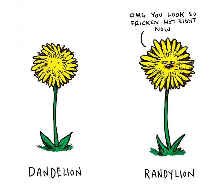 Randylion. 
