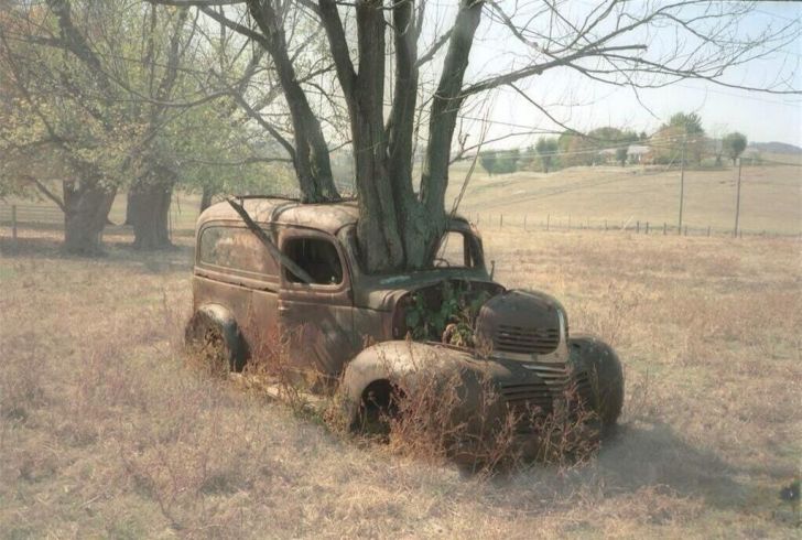 Abandoned car being absorbed by nature.