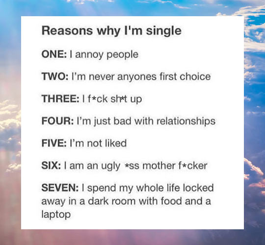 The Reasons I'm Single
