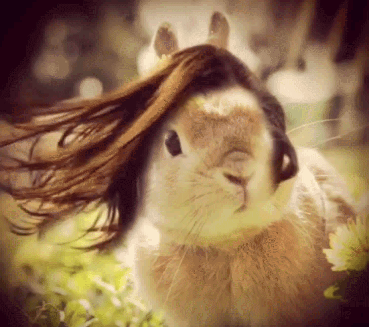 Bunny in the Wind