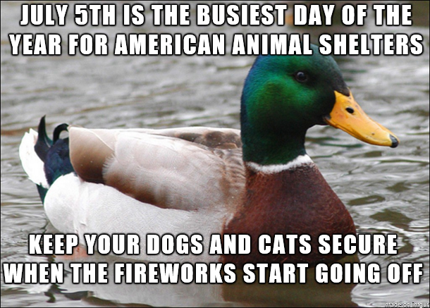 It's tht time of the year again, keep your pets safe.