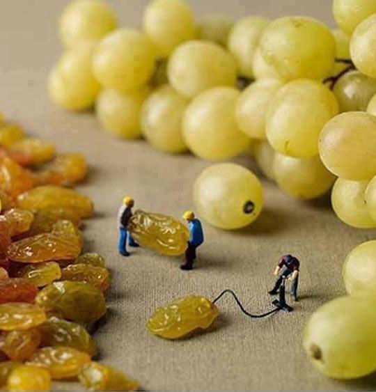 How Grapes Are Really Made