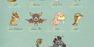 Animals around the world.