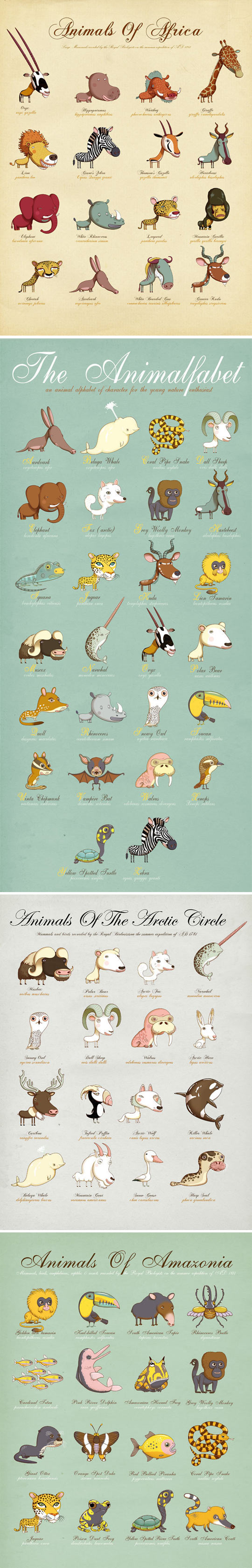 Animals around the world.
