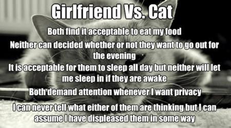 Girlfriend Vs Cat...
