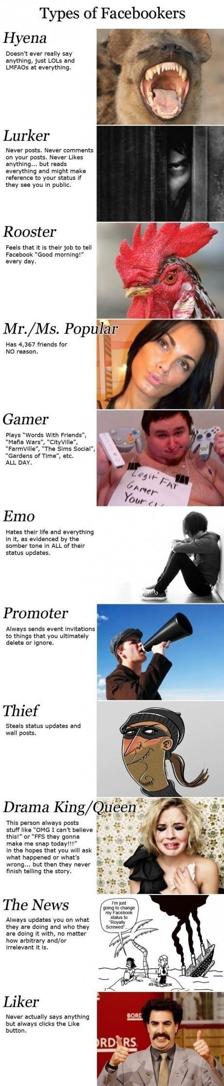 Types of Facebookers.