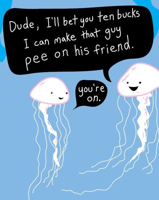 Jellyfish are jerks.