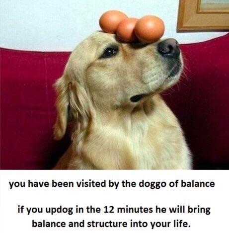 You have been visited by the doggo of balance.