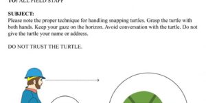 RE: Turtle Handling