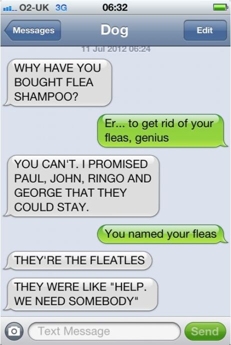 The Fleatles.