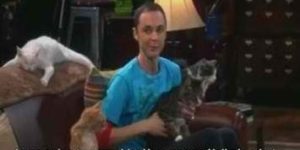 Dr. Sheldon Cooper at his best.