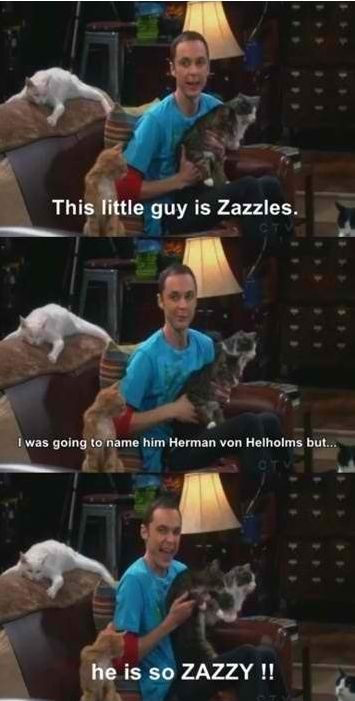 Dr. Sheldon Cooper at his best.