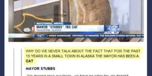 Mayor Stubbs, the cat.