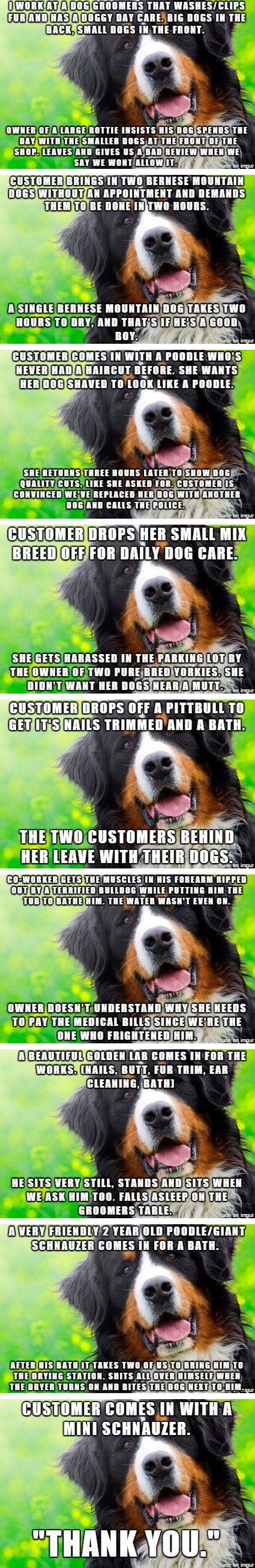 Dog groomer stories