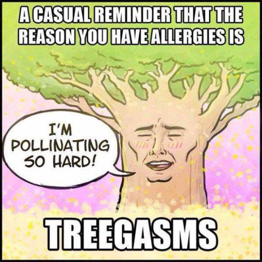 Why You Have Allergies