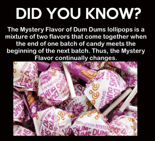 Mystery Flavor Of Dum Dums
