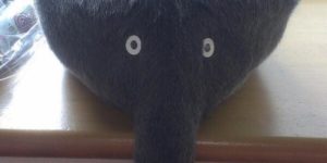 This elephant has a cat on its butt