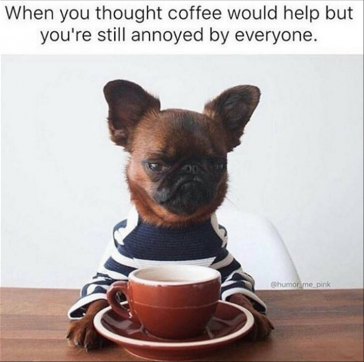 When you thought coffee would help but you're still annoyed by everyone