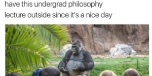 Harambe: A History