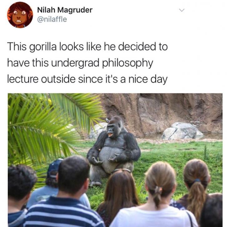 Harambe: A History