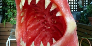 watermelon shark