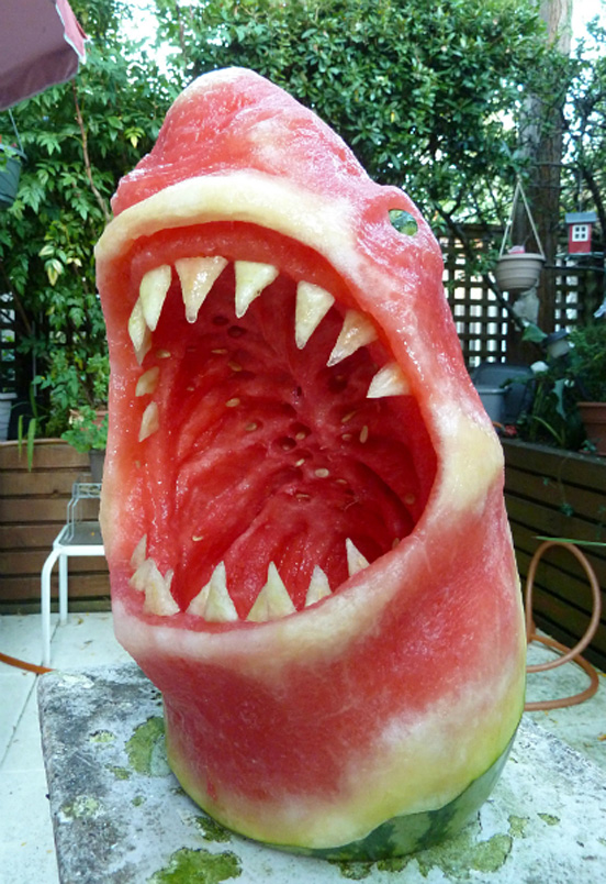 watermelon shark