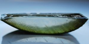 A slice of aloe vera