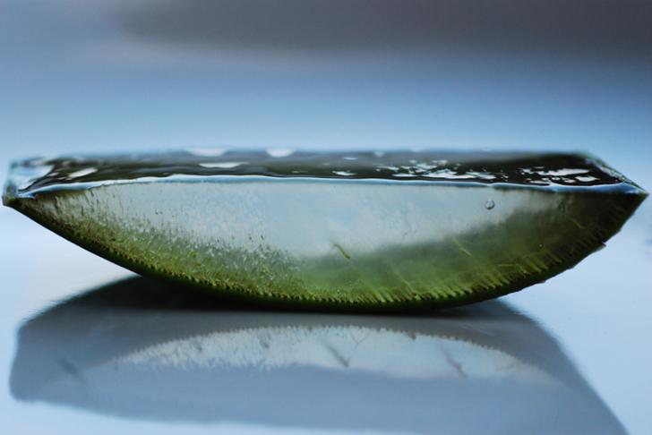 A slice of aloe vera