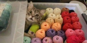 Someone has a yarn addiction