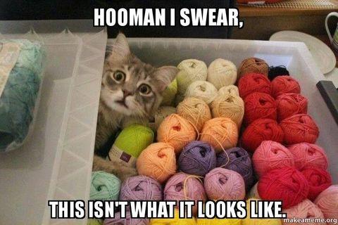 Someone has a yarn addiction