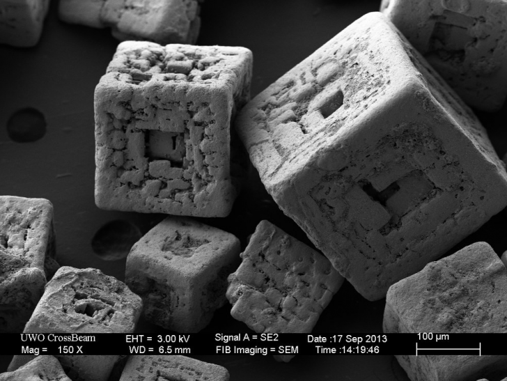 Salt grains under an electron microscope